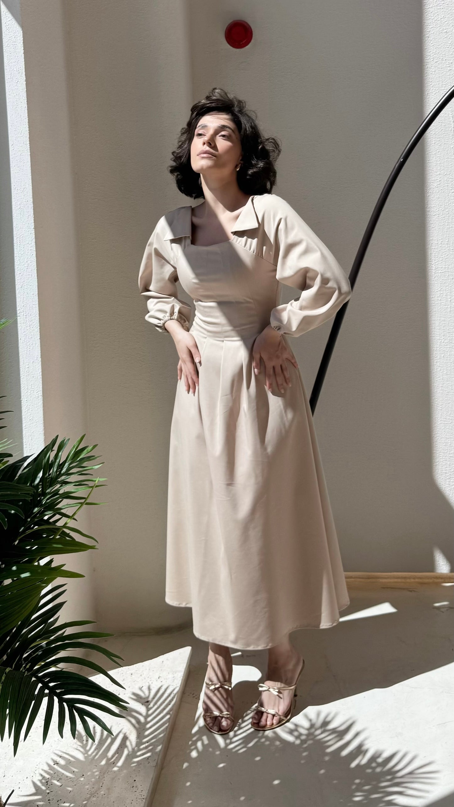 The Maxi Pleated Dress